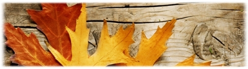 TVC06 - Autumn Leaves